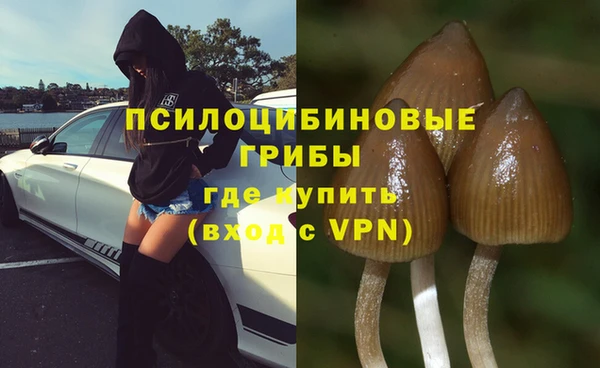 марки nbome Беломорск