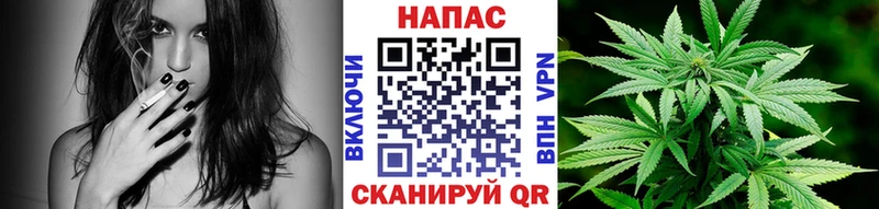 Бошки Шишки Ganja  хочу   гидра как зайти  darknet формула  Эртиль 